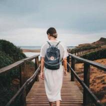 new-anim-1-splash-copyright